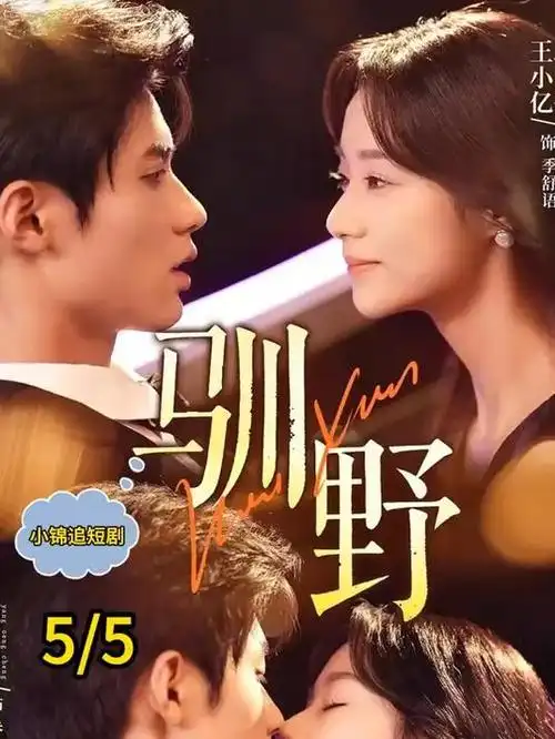 春日审判 电视剧全集在线观看